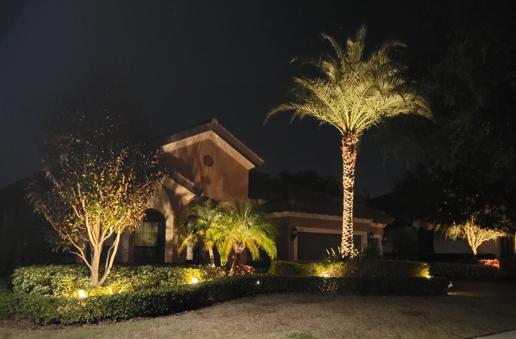 Palm trees lit up with professional landscape lighting at night